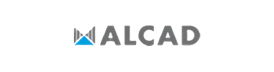 41